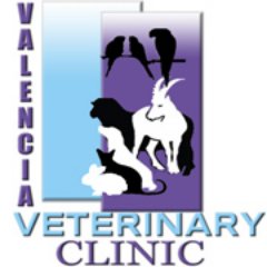 valencia veterinary clinic