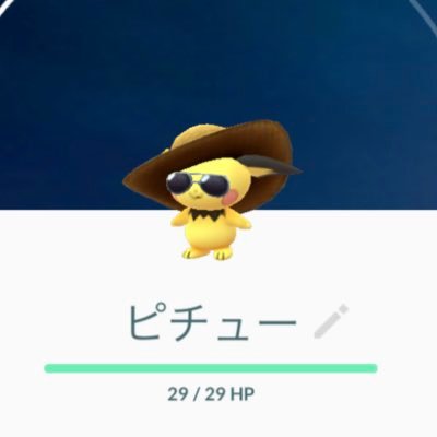 長野市でポケモンGOしてます。