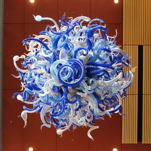 Official account of the Stanford Institute for Stem Cell Biology and Regenerative Medicine