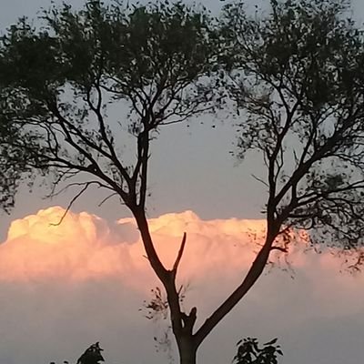 AleliJunin's profile picture. 