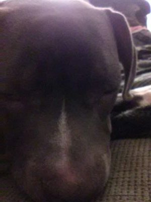 Ashlynn05827680's profile picture. Jhhs