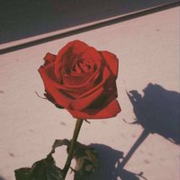 ֆ (@oab6x) 's Twitter Profile Photo