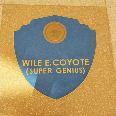 Syo53850596's profile picture. 