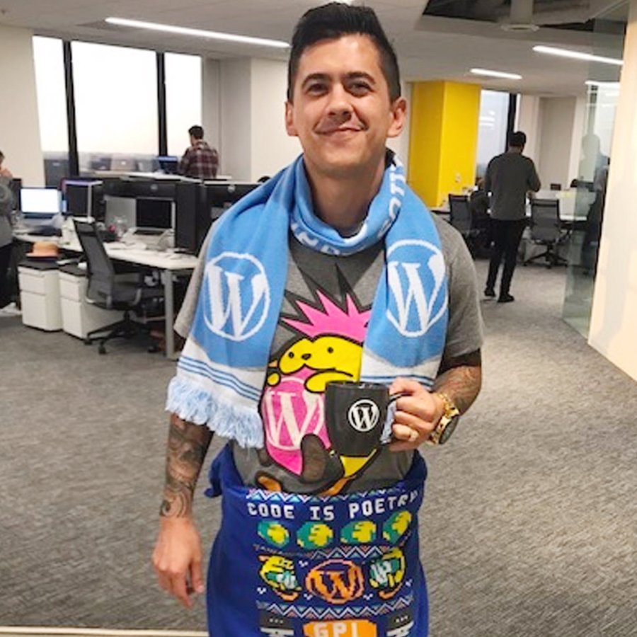 WordPress is what keeps the lights on!
Web Developer, Speaker