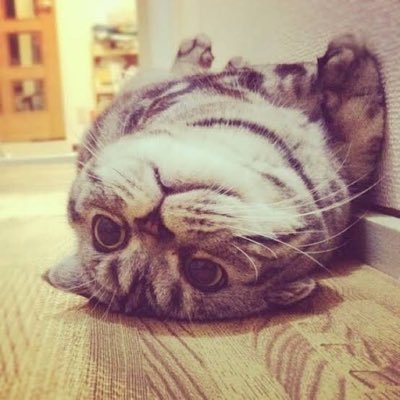 qAZZIY1AlrHWiLx's profile picture. 日本の住みやすい町を研究しています。