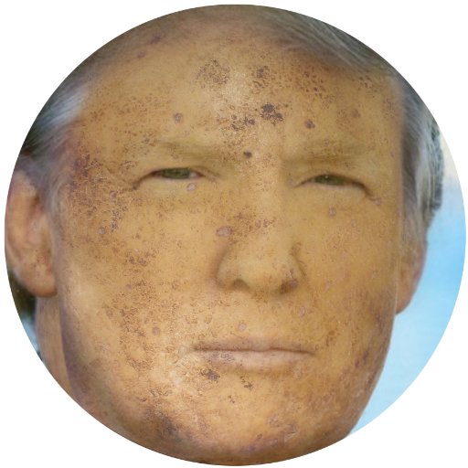 45th Potato of the USA. The forgotten taters and spuds will no longer be forgotten!
Wear your #resistance to our potatoe-skinned president by clicking the link⬇