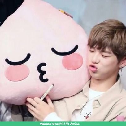 AnchovyChan's profile picture. Anyeong Haseyo! Kang Daniel♥Eunhyuk♥Taeyong❤Kpop♥I will share what i like :)