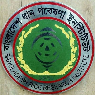 BRRI is a major component of National Agricultural Research System (NARS) of Bangladesh, dealing with research and development in relation to rice production.