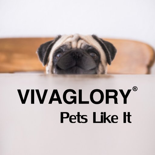 vivaglorypet's profile picture. 🐶🐹