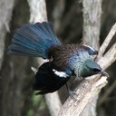David Hood - @Thoughtfulnz - Twitter
