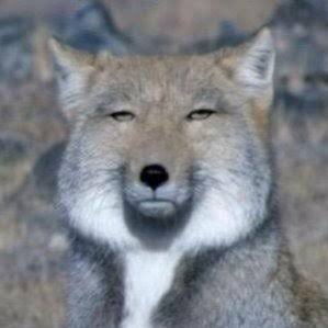 無の境地 Munokitsune Twitter 無の境地 Munokitsune Twitter