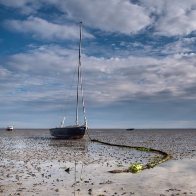 PaulussenRini's profile picture. 