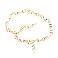 COMBINE Lab@UCL (@combinelab) 's Twitter Profile