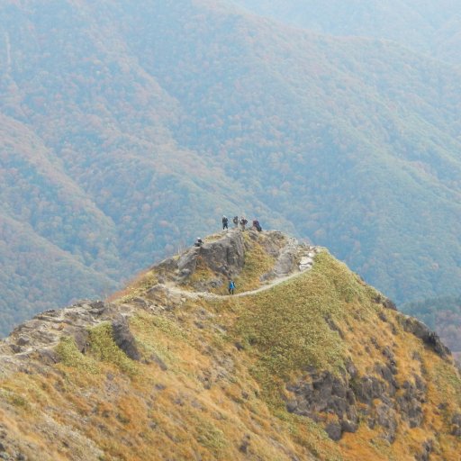 fishkamakiri's profile picture. 