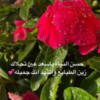 سـٰٰٰٖٖٖۧحـ๋͜ـ🌧ـابة خيـٰٰٰٖٖٖۧـ๋͜ــر ❤️ (@h19195) 's Twitter Profile Photo