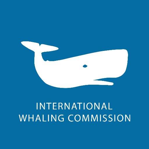 News from the International Whaling Commission (IWC), the global body charged with conservation of whales and management of whaling.