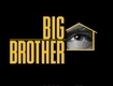 Watching Big Brother 12? Got the live feeds? If so, tweet what you are seeing on the feeds to the world!