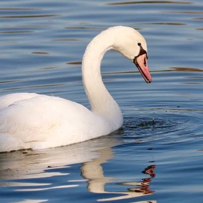 🐍 名前頭おかしくてごめんなさい。これが僕です。欅坂は箱推しです。無言フォロー許して！フォローしてくれると嬉しいです。でもなにかするわけではないです #ベネズエラ #多汗症 #ランドセルはタイガーマスクに頼め #第三次世界大戦 #地球温暖化 #EXILE系好きな奴だいたい陽キャ #趣味はパイプオルガン #イスラム教