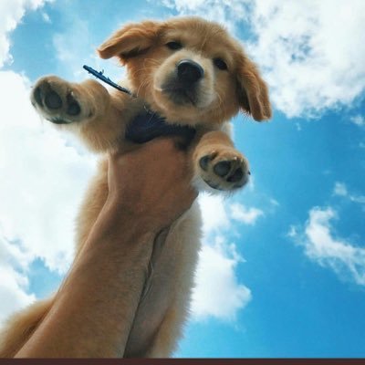 karma_n_ur_wife's profile picture. It said Add a bio to your profile