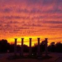 WC High School (@wchscardinals) 's Twitter Profile