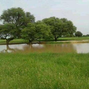 LG7P2DPFmSP7dUa's profile picture. 