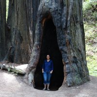 Sorca (@sorcamcdonnell) 's Twitter Profile