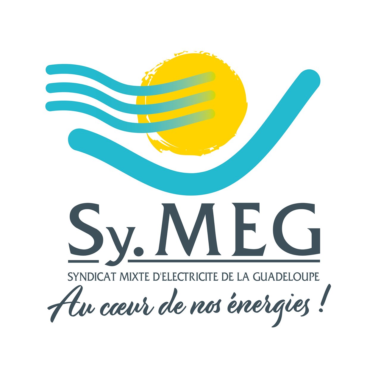 Depuis 2007, nous organisons  la distribution publique d’électricité sur le territoire des communes membres de Guadeloupe. 💡