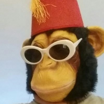 Diogenes The Chimp Profile