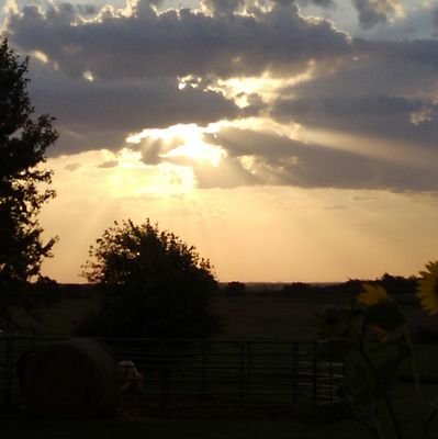 keith_bayless's profile picture. 