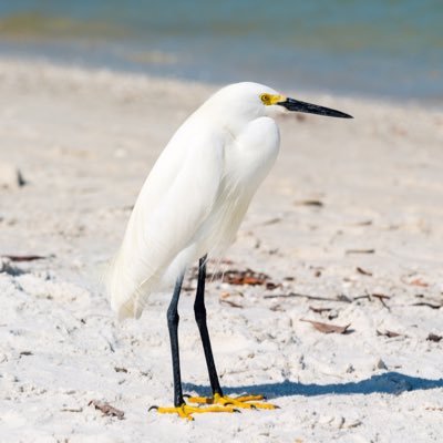 rstandri's profile picture. 