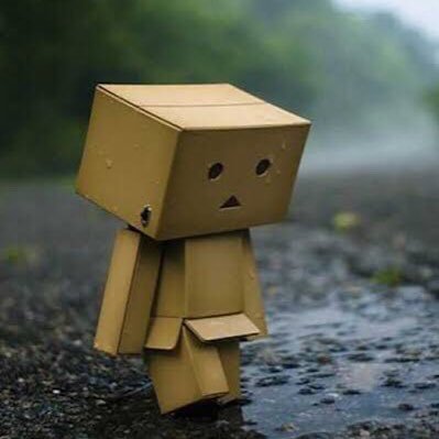 sankedi's profile picture.