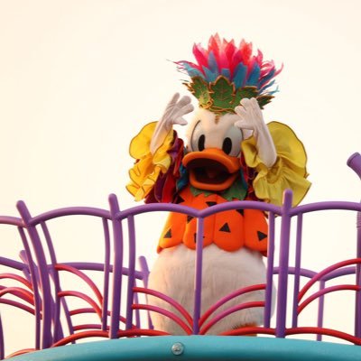 ika_sumis's profile picture. 垢が飽和してきたので住み分けするための腐女子の趣味垢です。お取引もこちらで行っています。夢も好きです。成人済。(刀剣/にほへし、燭へし、etc)