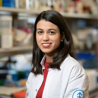 Corina Amor MD, PhD(@corina_amor_MD) 's Twitter Profile Photo