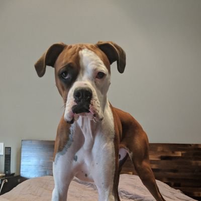 lokamode22's profile picture. Learn, learn, learn.... Be kind and teach others what you learn