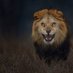 S in laughter... (@h_e_kingmufasa) Twitter profile photo S in laughter... (@h_e_kingmufasa) Twitter profile photo