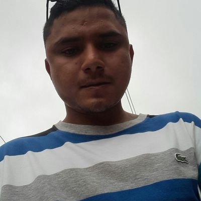 AconchegoBala's profile picture. 