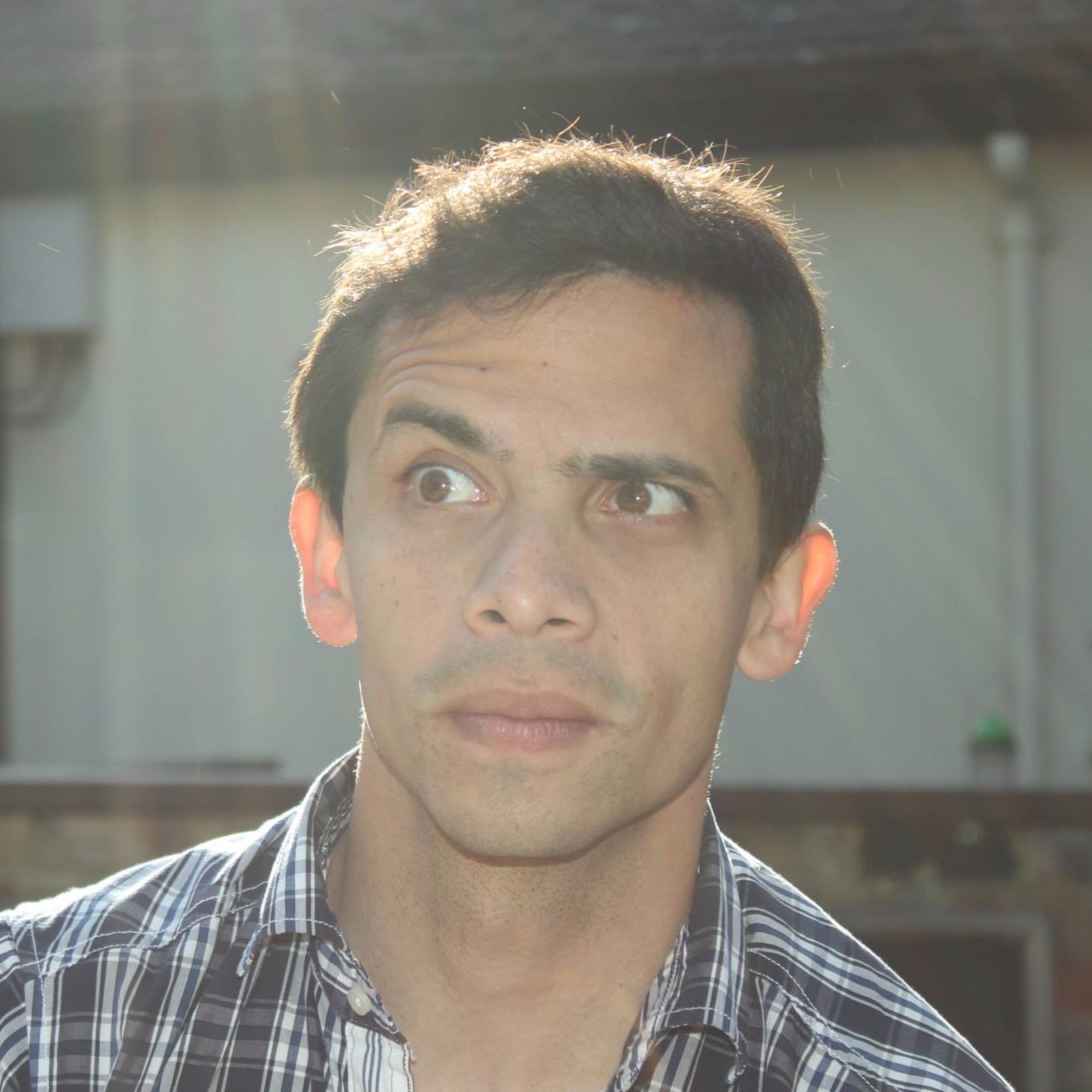 owlmx's profile picture. 