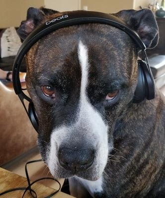 MichelZaandam's profile picture. 