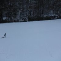 كعربيثا (@srsb1977) 's Twitter Profile