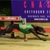 Chasing Winners (@chasingwinners) Twitter profile photo Chasing Winners (@chasingwinners) Twitter profile photo