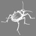 Rachel Hacking Ecology (@rhecology) Twitter profile photo Rachel Hacking Ecology (@rhecology) Twitter profile photo