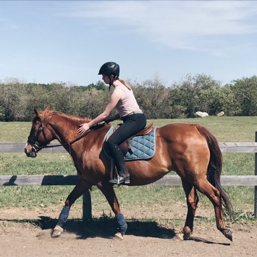 I am an Equestrian blogger, I am passionate about design and photography, and I am obsessed with my Horse, Sky! 💗