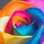 kanakan25468657's profile picture. 