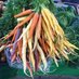 Reading Farmers' Market (@readingfarmmkt) Twitter profile photo Reading Farmers' Market (@readingfarmmkt) Twitter profile photo