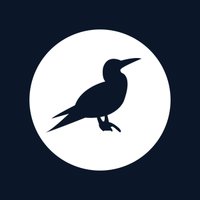 Adrift Lab (@adriftlab) 's Twitter Profile