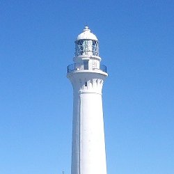 桜海老さんのプロフィール画像