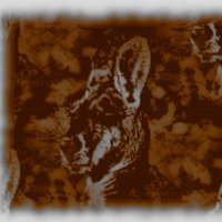CLou La Roo (@clewthekangaroo) 's Twitter Profile