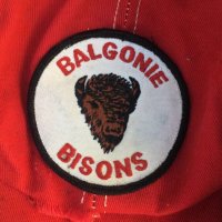 Balgonie Bisons Hockey Club (@balgoniebisons) 's Twitter Profile