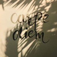 diem (@diem_ow) 's Twitter Profile
