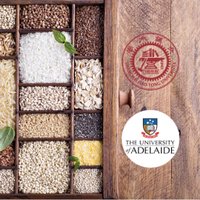 Research Centre of Grains for Health(@GrainsforHealth) 's Twitter Profile Photo